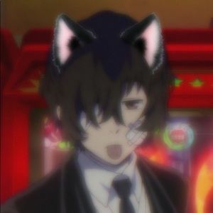 Meet your Posher, Devin